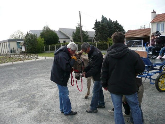 Neuvy mars 2012 (12).jpg